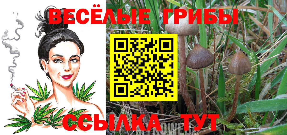 Комсомольск-на-Амуре  Галлюциногенные грибы MAGIC MUSHROOMS  где найти наркотики  Вход с VPN  Галлюциногенные грибы GOLDEN TEACHER 